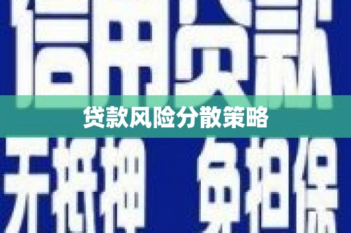 金阳贷款风险分散策略