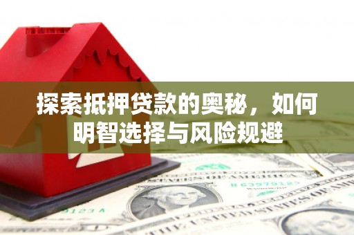 金阳探索抵押贷款的奥秘，如何明智选择与风险规避
