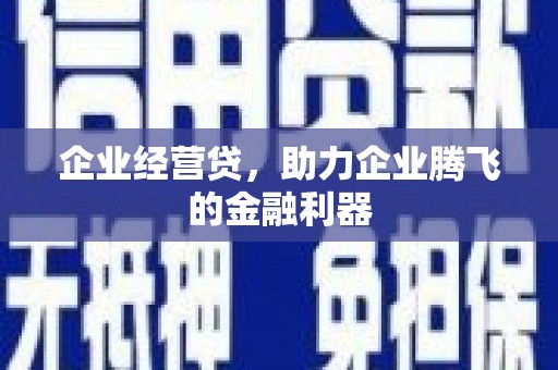 金阳企业经营贷，助力企业腾飞的金融利器