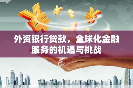 金阳外资银行贷款，全球化金融服务的机遇与挑战