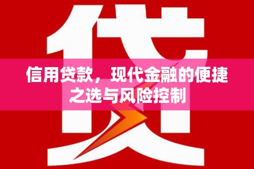 金阳信用贷款，现代金融的便捷之选与风险控制