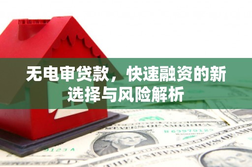 金阳无电审贷款，快速融资的新选择与风险解析