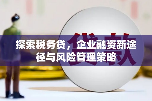 金阳探索税务贷，企业融资新途径与风险管理策略