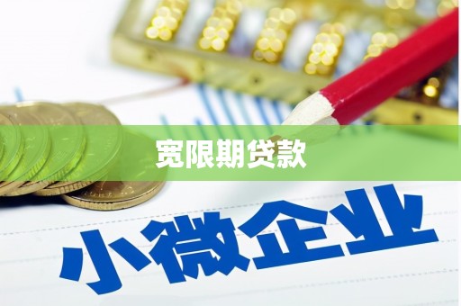 金阳宽限期贷款