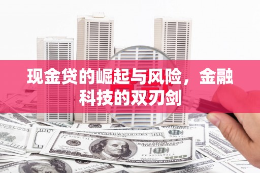 金阳现金贷的崛起与风险，金融科技的双刃剑