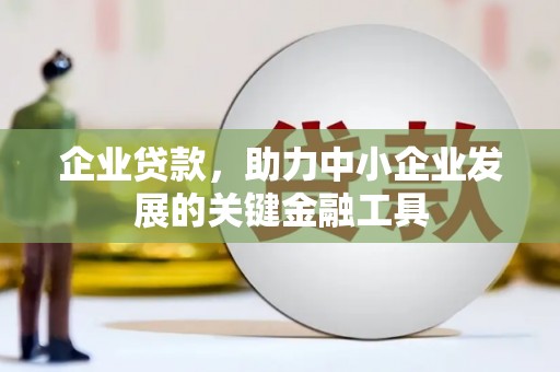 金阳企业贷款，助力中小企业发展的关键金融工具