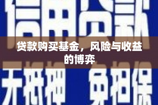 金阳贷款购买基金，风险与收益的博弈