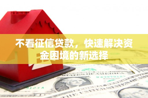 金阳不看征信贷款，快速解决资金困境的新选择
