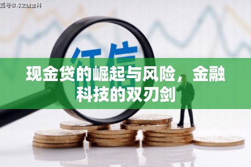 金阳现金贷的崛起与风险，金融科技的双刃剑