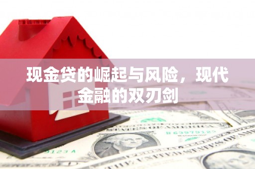 金阳现金贷的崛起与风险，现代金融的双刃剑