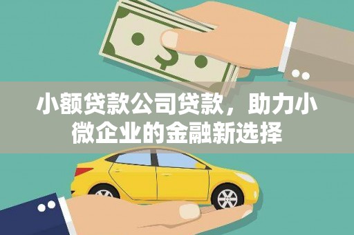 金阳小额贷款公司贷款，助力小微企业的金融新选择