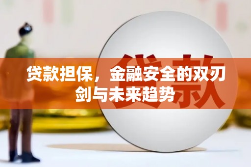 金阳贷款担保，金融安全的双刃剑与未来趋势