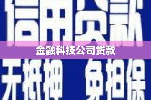 金阳金融科技公司贷款