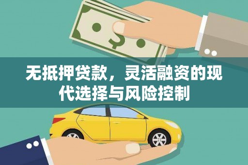 金阳无抵押贷款，灵活融资的现代选择与风险控制