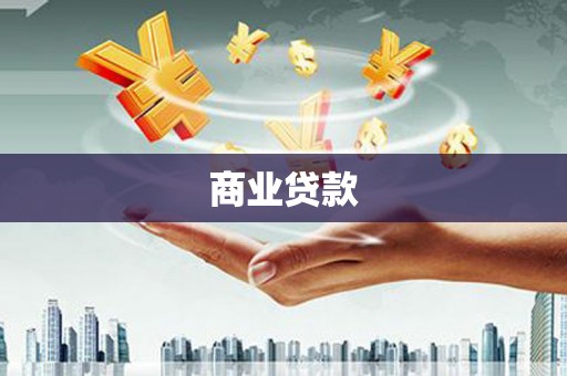 金阳商业贷款