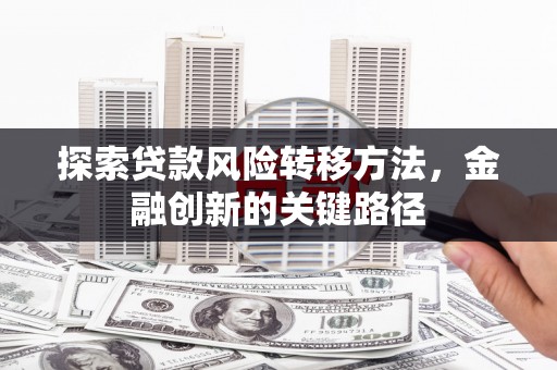 金阳探索贷款风险转移方法，金融创新的关键路径