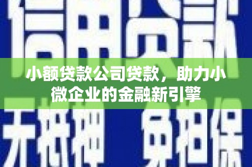 金阳小额贷款公司贷款，助力小微企业的金融新引擎