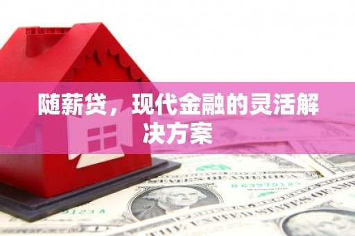 金阳随薪贷，现代金融的灵活解决方案