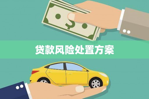 金阳贷款风险处置方案