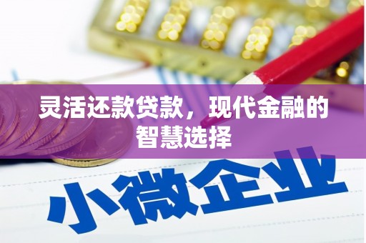 金阳灵活还款贷款，现代金融的智慧选择