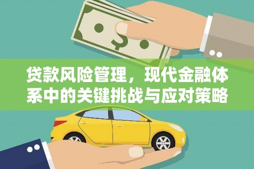 金阳贷款风险管理，现代金融体系中的关键挑战与应对策略