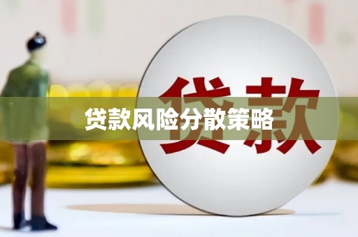 金阳贷款风险分散策略