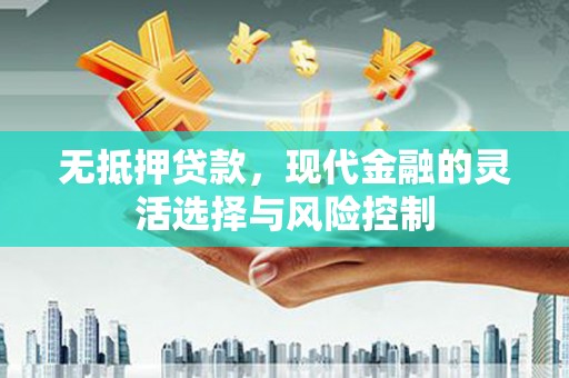 金阳无抵押贷款，现代金融的灵活选择与风险控制