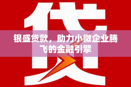 金阳银盛贷款，助力小微企业腾飞的金融引擎