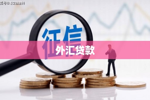 金阳外汇贷款