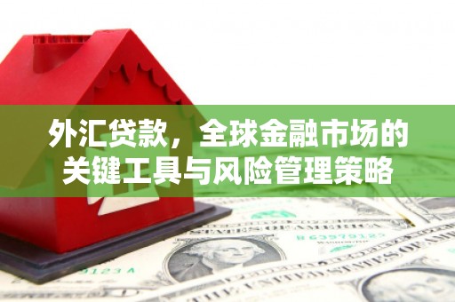 金阳外汇贷款，全球金融市场的关键工具与风险管理策略