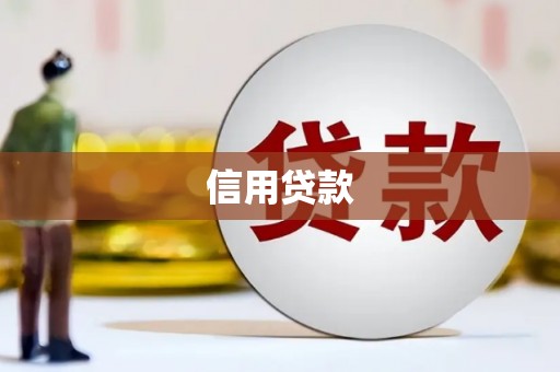 金阳信用贷款