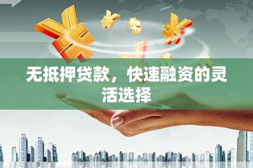 金阳无抵押贷款，快速融资的灵活选择