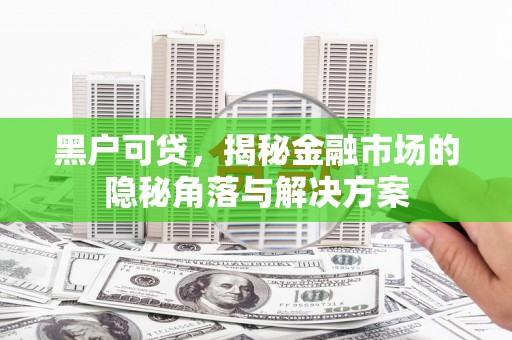 金阳黑户可贷，揭秘金融市场的隐秘角落与解决方案