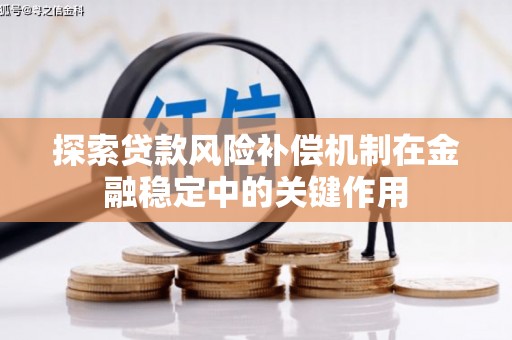 金阳探索贷款风险补偿机制在金融稳定中的关键作用