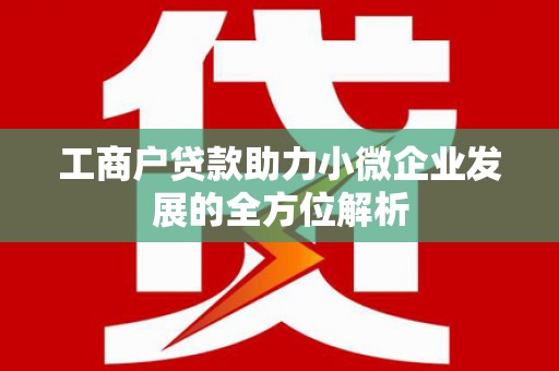 金阳工商户贷款助力小微企业发展的全方位解析