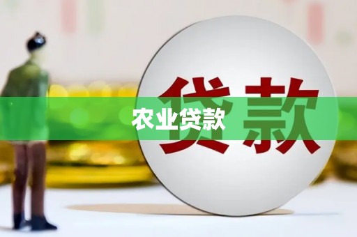 金阳农业贷款
