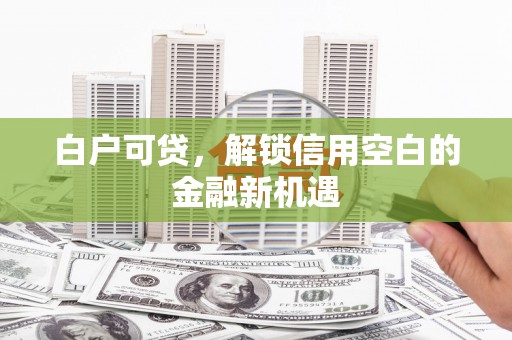 金阳白户可贷，解锁信用空白的金融新机遇