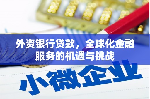 金阳外资银行贷款，全球化金融服务的机遇与挑战