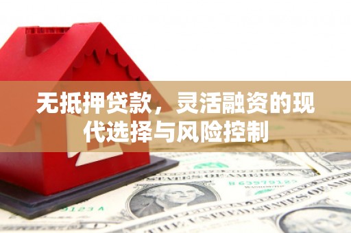 金阳无抵押贷款，灵活融资的现代选择与风险控制