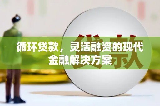 金阳循环贷款，灵活融资的现代金融解决方案