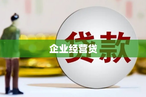 金阳企业经营贷