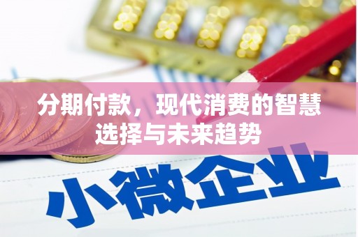金阳分期付款，现代消费的智慧选择与未来趋势