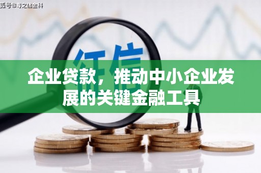 金阳企业贷款，推动中小企业发展的关键金融工具