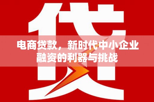 金阳电商贷款，新时代中小企业融资的利器与挑战