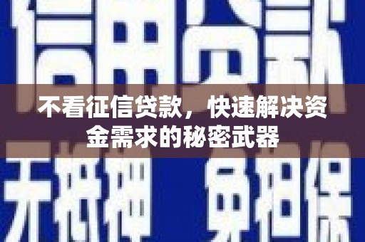 金阳不看征信贷款，快速解决资金需求的秘密武器