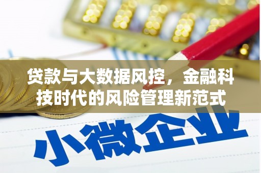 金阳贷款与大数据风控，金融科技时代的风险管理新范式