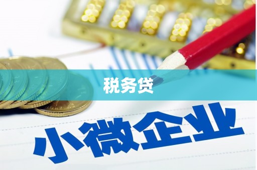 金阳税务贷