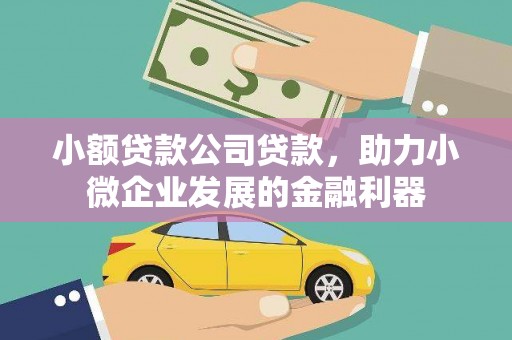 金阳小额贷款公司贷款，助力小微企业发展的金融利器