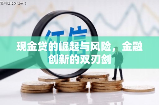 金阳现金贷的崛起与风险，金融创新的双刃剑