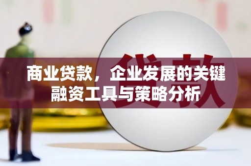 金阳商业贷款，企业发展的关键融资工具与策略分析